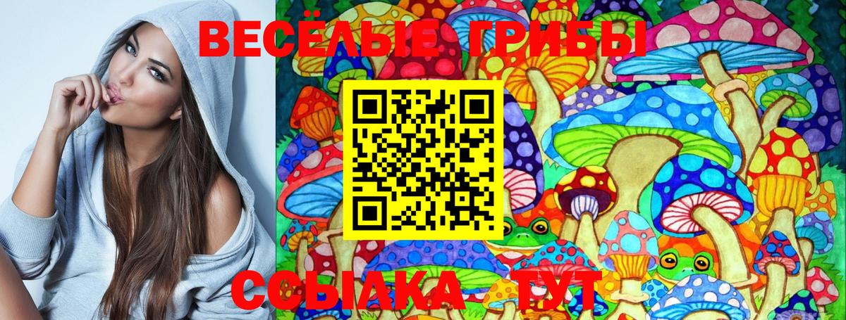 Выкса  Псилоцибиновые грибы Cubensis  Вход с VPN 